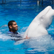 Image for article titled What In God's Name Is Tim Duncan Doing To That Whale?